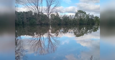 Daños en cultivos y animales muertos: los perjuicios de El Niño en la región de Los Ríos