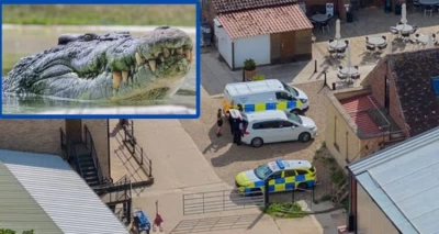 Horror en el zoológico: Niño de 3 años fue arrojado a la jaula de los cocodrilos en Inglaterra