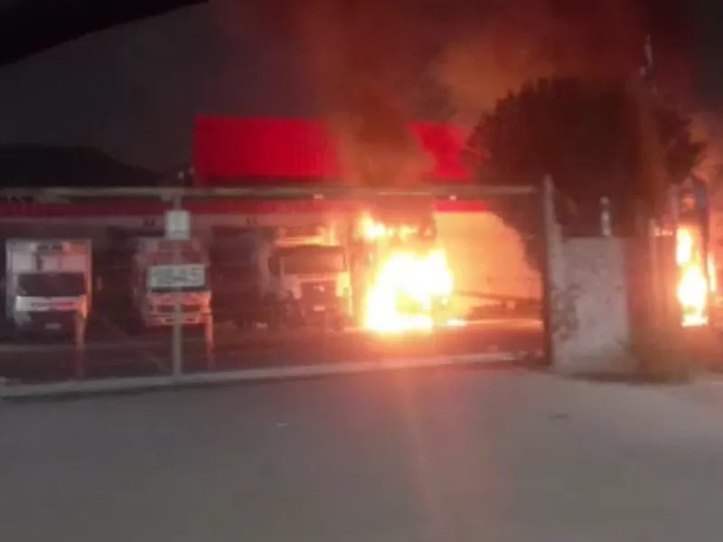 Desconocidos incendian 6 camiones de carnicería en Quilicura: grupo animalista se adjudica la acción